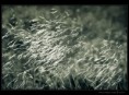 /album/fotogaleria-rozne/priroda01-jpg/