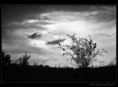 /album/fotogaleria-rozne/priroda03-jpg/
