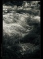 /album/fotogaleria-rozne/priroda11-jpg/