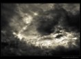 /album/fotogaleria-rozne/priroda12-jpg/